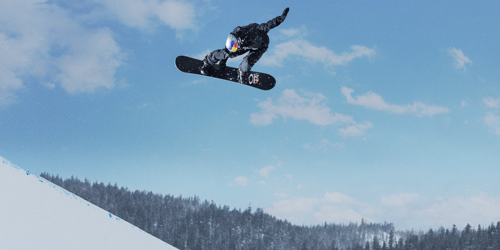 De lucht Optimistisch meditatie Rugbescherming / backprotector voor snowboarden