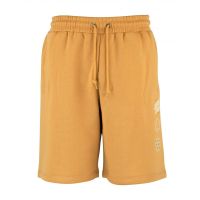 Santa Cruz Infinity short sand