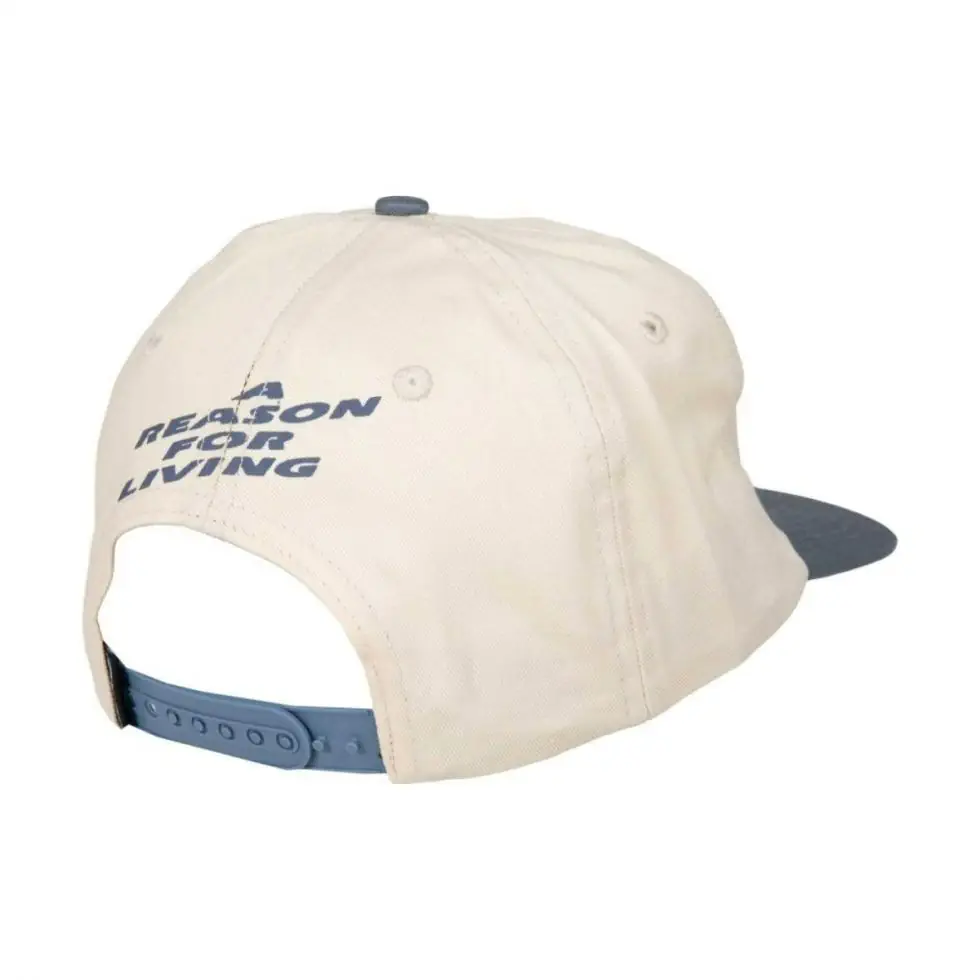 Santa Cruz Reason For Living snapback ecru heritage blue
