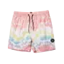 Mystic\u0020Artwork\u0020boardshort\u0020rainbow