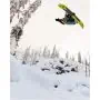 Jones\u0020Howler\u0020\u002D\u0020B\u002DGrade