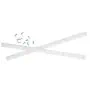 Pig\u0020White\u0020skateboard\u0020rails