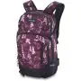 Dakine\u0020Women\u0027s\u0020Heli\u0020Pro\u002020L\u0020B4BC\u0020grapevine