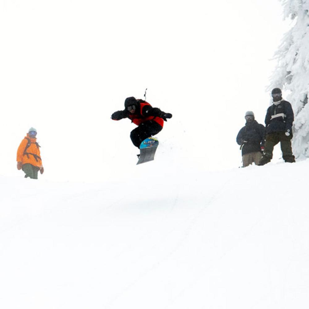 freeride bindingen kopen